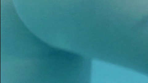 Pic: Josie Goldberg in American Nudist