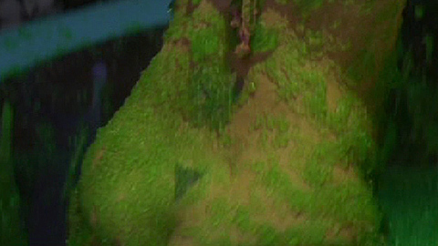 Pic: Sabine Varnes in Hard Breakers