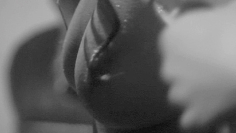 Pic: Suzanne Pringle in Keyhole