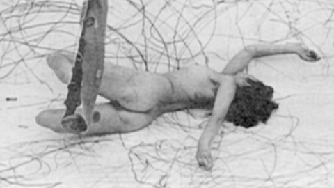Pic: Carolee Schneemann in !Women Art Revolution