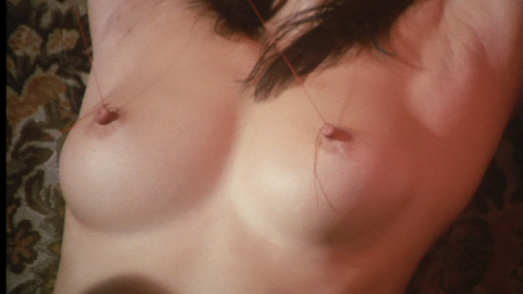 Pic: Ryôko Watanabe in Debauchery