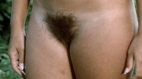 Pic: Yvonne Dwyer in Schoolgirl Report Volume 8