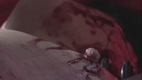 Pic: Irene Holzfurtner in No Reason