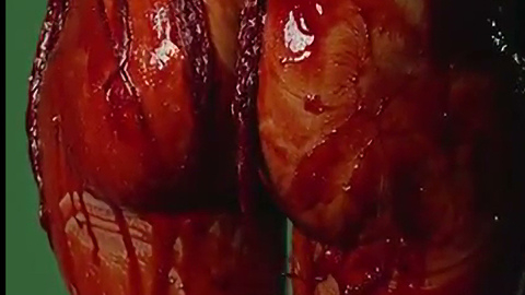 Pic: Nayrok Badu in The First Time Ever I Saw Your Face (featuring Erykah Badu)