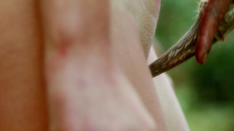 Pic: Kirby Bliss Blanton in The Green Inferno