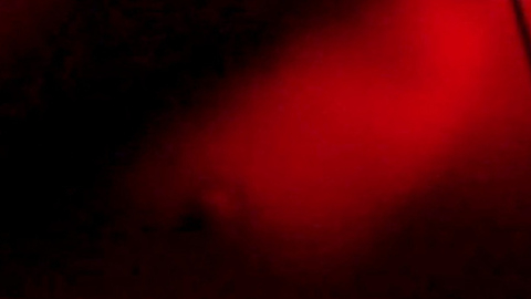 Pic: Sadie Katz in Nipples & Palm Trees