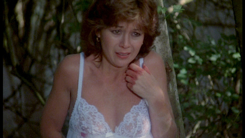 Pic: Kathryn Leigh Scott in Hammer House of Horror