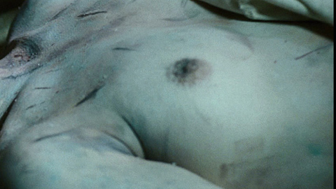 Pic: Shannon Lambert-Ryan in Bereavement