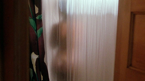 Pic: Ellie Cornell in Halloween 5