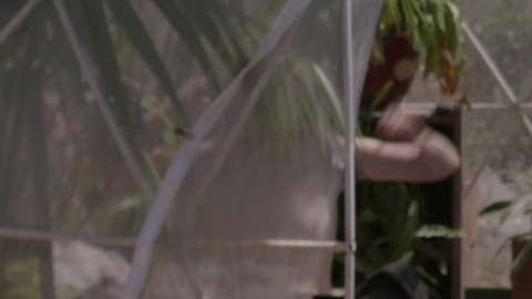 Pic: Gaby Hoffmann in Transparent