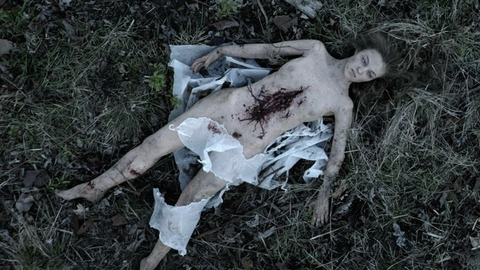 Pic: Lili Simmons in Banshee