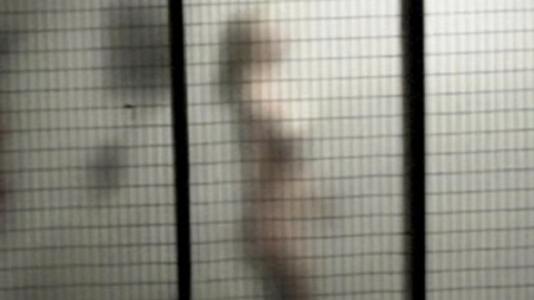 Pic: Rebecca Whitehurst in Dark Feed