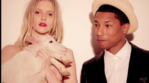 Pic: Elle Evans in Blurred Lines