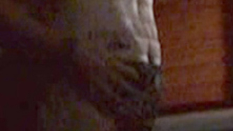 Pic: Joey Kingman in Tin God