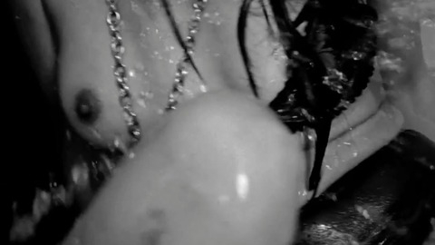 Pic: Jay Choi in Lotus Eaters