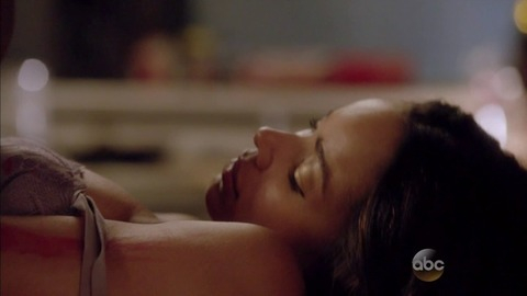 Pic: Rochelle Aytes in Mistresses