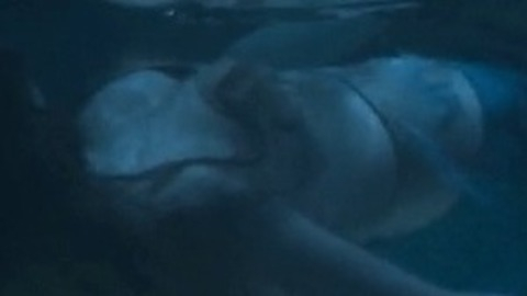 Pic: Christel Edwards in SAGA: Curse of the Shadow