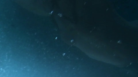 Pic: Clare Niederpruem in SAGA: Curse of the Shadow