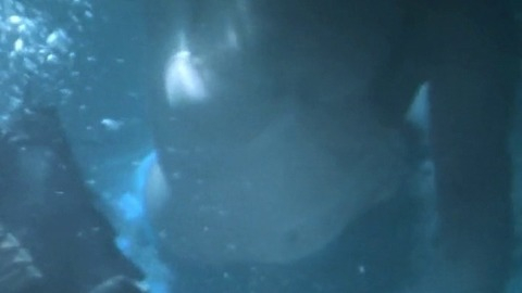 Pic: Clare Niederpruem in SAGA: Curse of the Shadow