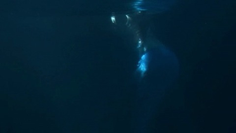 Pic: Nichelle Aiden in SAGA: Curse of the Shadow