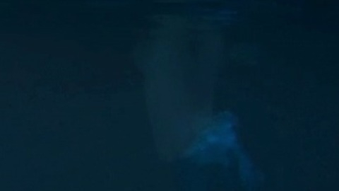 Pic: Nichelle Aiden in SAGA: Curse of the Shadow