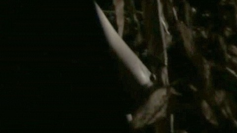 Pic: Wendy Iske in Fields of the Dead