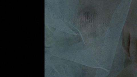 Pic: Alena Stojáková in Valerie and Her Week of Wonders