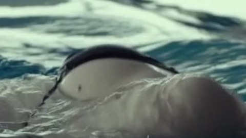 Pic: Jessica Barden in The Lobster