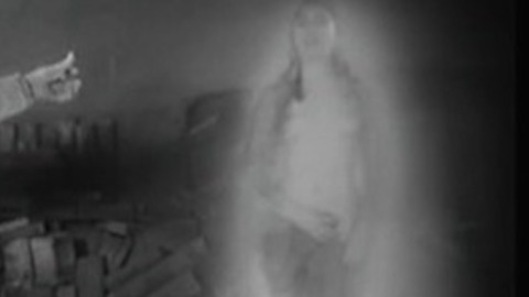 Pic: Camilla Horn in Faust