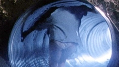 Pic: Jill Schoelen in Curse II: The Bite