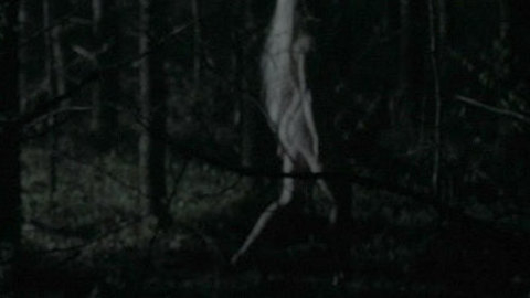 Pic: Anya Taylor-Joy in The Witch