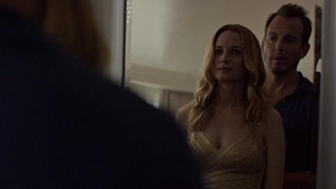 Pic: Heather Graham in Flaked (2016-2017)