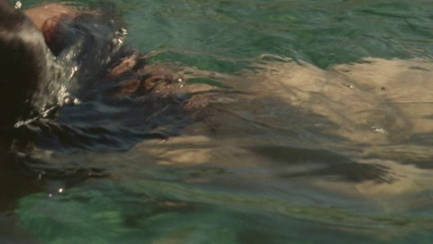 Pic: Crista Alfaiate in Arabian Nights: Volume 3, The Enchanted One