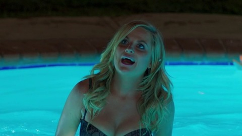 Pic: Amy Poehler in Sisters