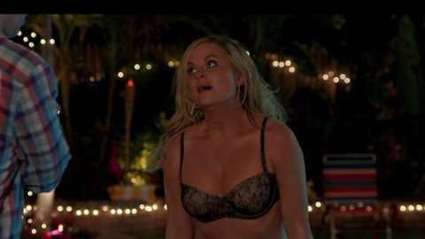 Pic: Amy Poehler in Sisters