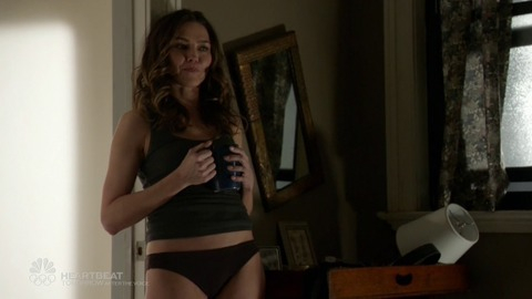 Pic: Trieste Kelly Dunn in Blindspot