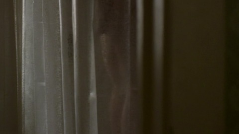 Pic: Michelle Monaghan in The Path