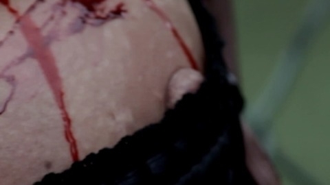 Pic: Nikol Brown in Violent Shit: The Movie