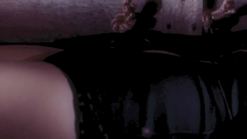 Pic: Tiffany Shepis in Model Hunger