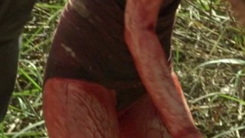 Pic: Ashlynn Ross in The Devil's Dolls (2016)