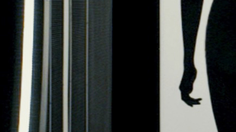 Pic: Shailene Woodley in Allegiant