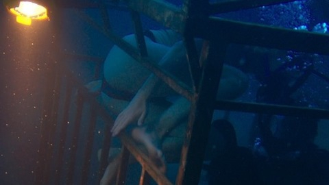Pic: Claire Holt in 47 Meters Down
