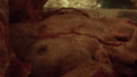 Pic: Devin Sidell in 31