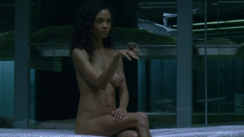 Pic: Thandiwe Newton in Westworld
