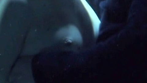 Pic: Sigrid Bouaziz in La ville bleue