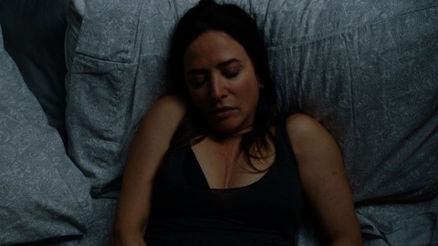 Pic: Pamela Adlon in Better Things
