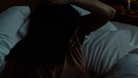 Pic: Pamela Adlon in Better Things