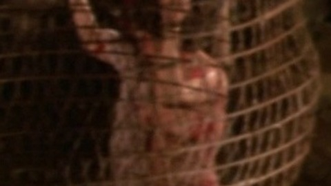 Pic: Hsiu-Chun Lin in Human Lanterns