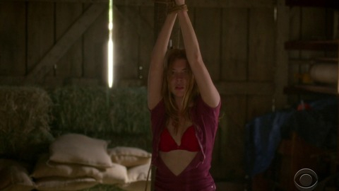 Pic: Courtney Halverson in Criminal Minds (2005-2020)