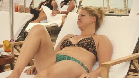 Pic: Amy Schumer in Snatched